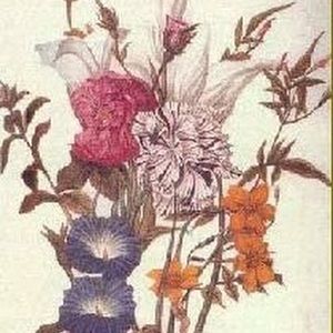 Meet your Posher, Vicky